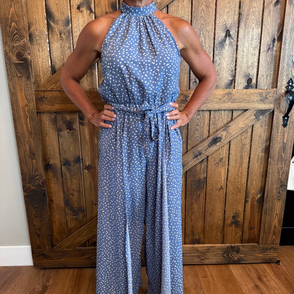 Daytrip Blue and White Jumpsuit